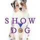Illustration for article titled Handjobs, Butt-To-Butt Action, And Other Sex Secrets Of The Champion Show Dog
